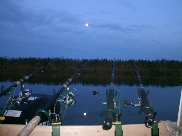 Doar ... NATURA  - 2 - gedc0378.JPG